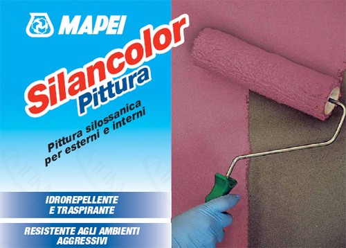 Силиконовая краска Silancolor Paint