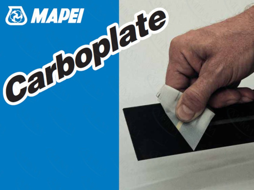Углепластиковая ламель Carboplate E 160/50/1,4
